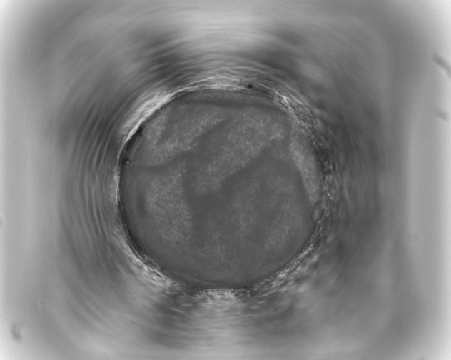 X0000093450194200711021121