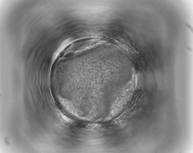 X0000093450195200711021121