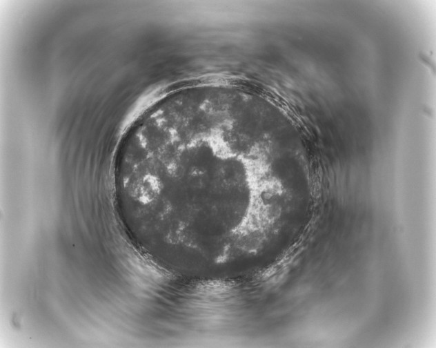 X0000093450198200711021121