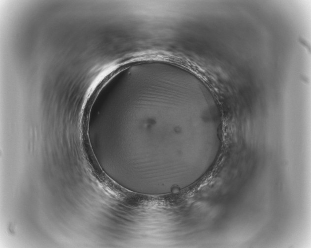 X0000093450200200711021121