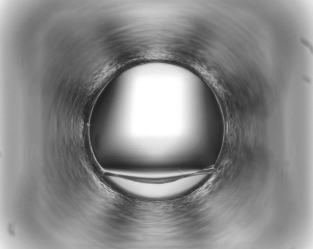 X0000093450201200711021121