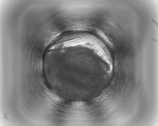 X0000093450202200711021121