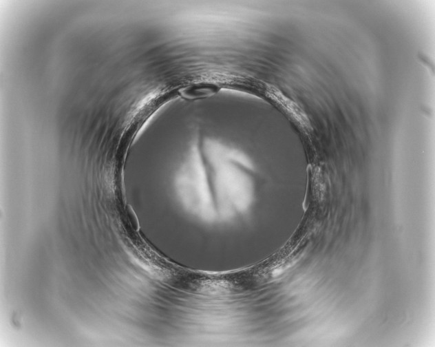 X0000093450203200711021121