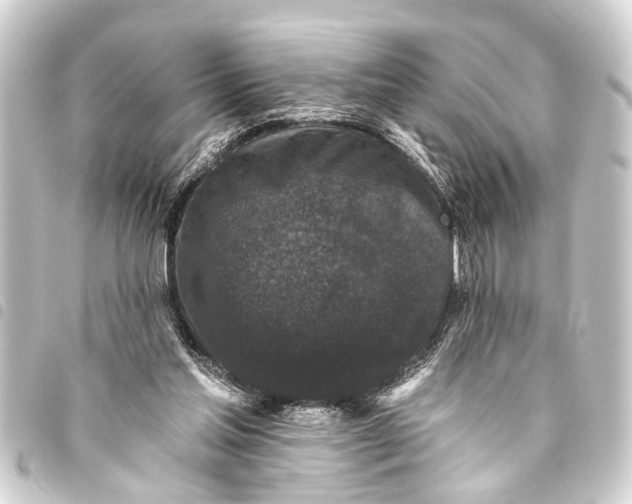 X0000093450205200711021121