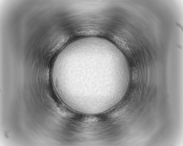 X0000093450206200711021121