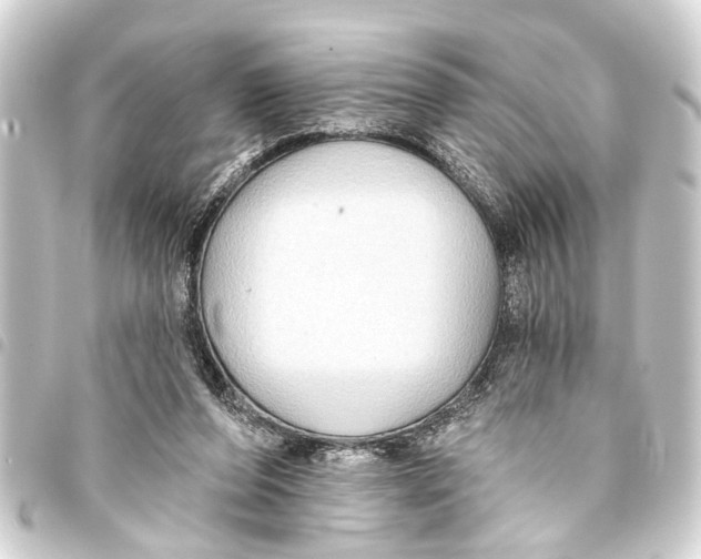 X0000093450208200711021121