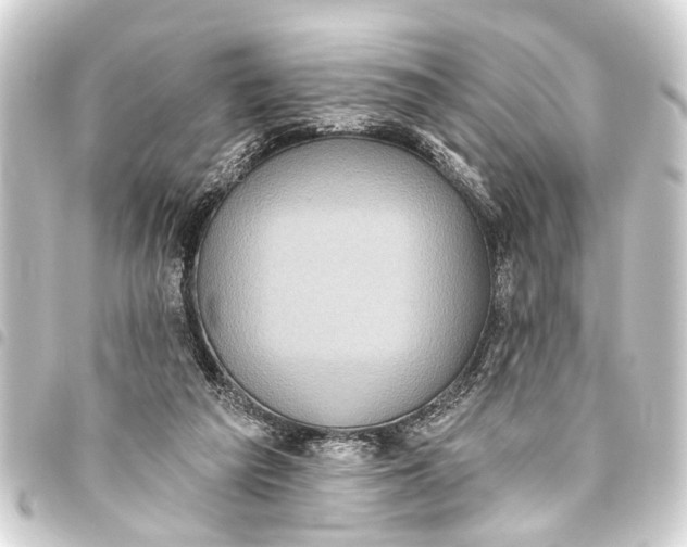 X0000093450209200711021121