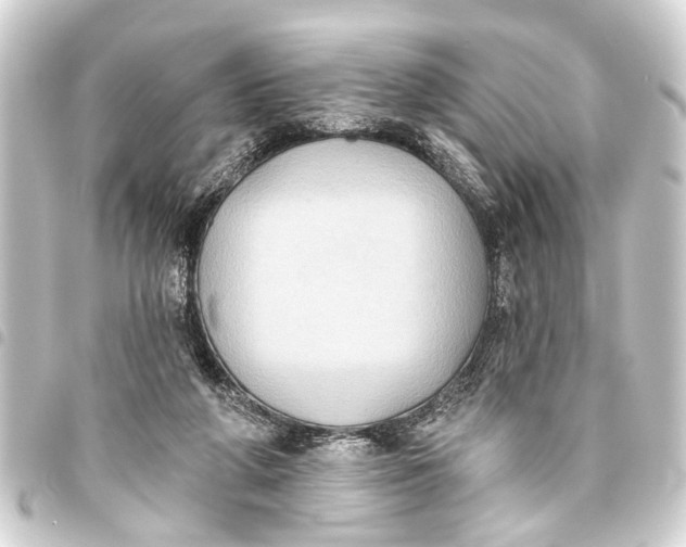 X0000093450210200711021121