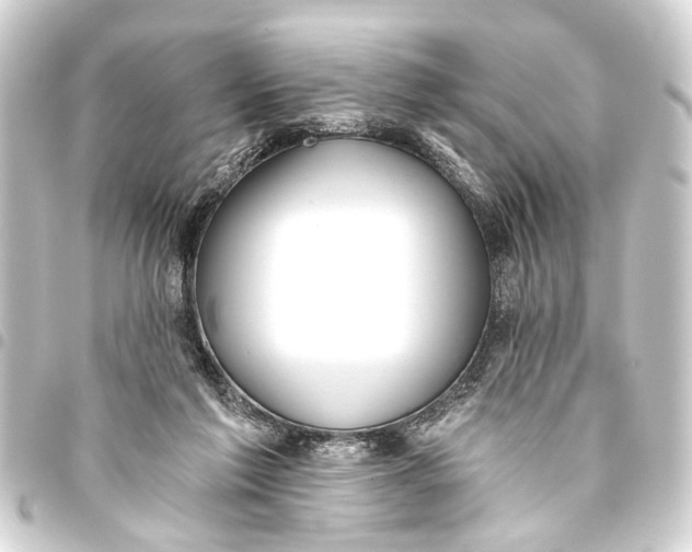 X0000093450213200711021121