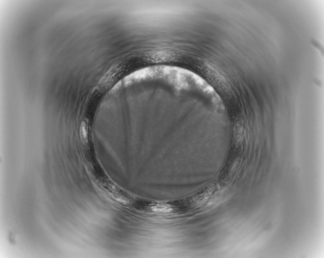 X0000093450214200711021121