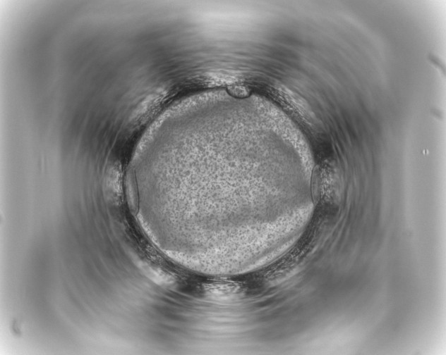 X0000093450215200711021121