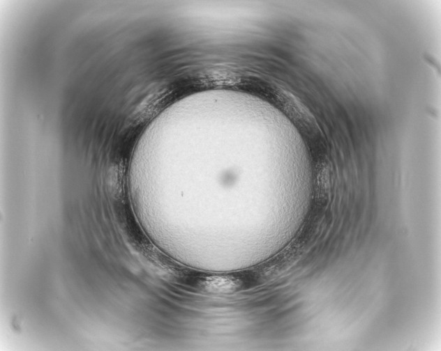 X0000093450218200711021121