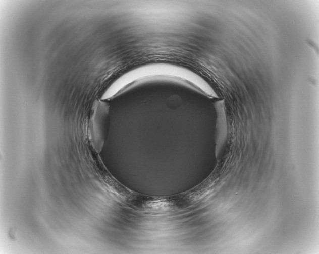 X0000093450219200711021121