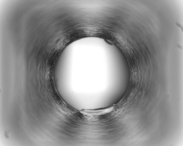 X0000093450221200711021121