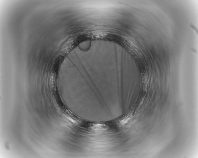 X0000093450222200711021121