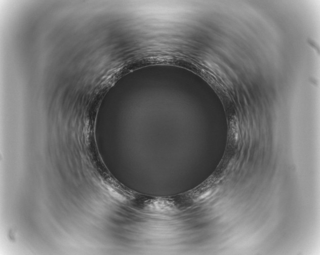 X0000093450223200711021121