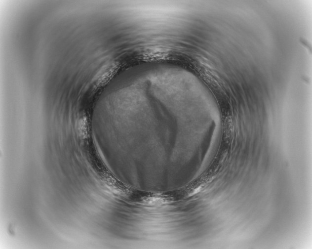 X0000093450224200711021121