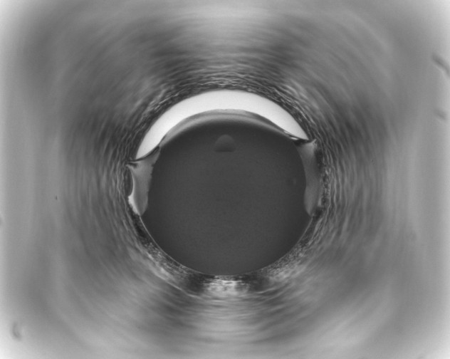 X0000093450227200711021121