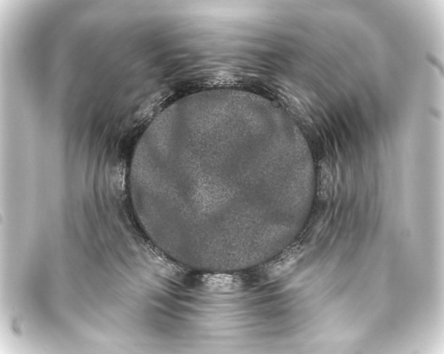 X0000093450230200711021121