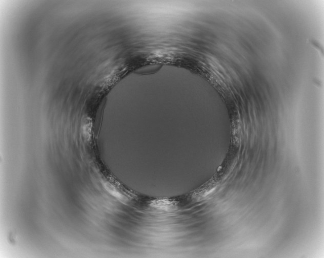 X0000093450231200711021121