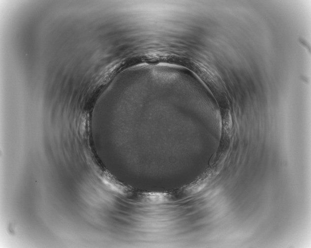 X0000093450233200711021121