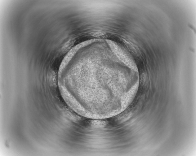 X0000093450234200711021121