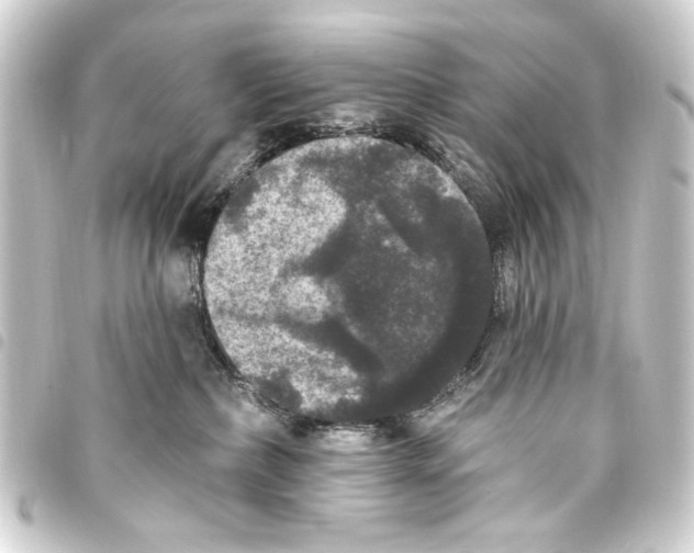 X0000093450236200711021121