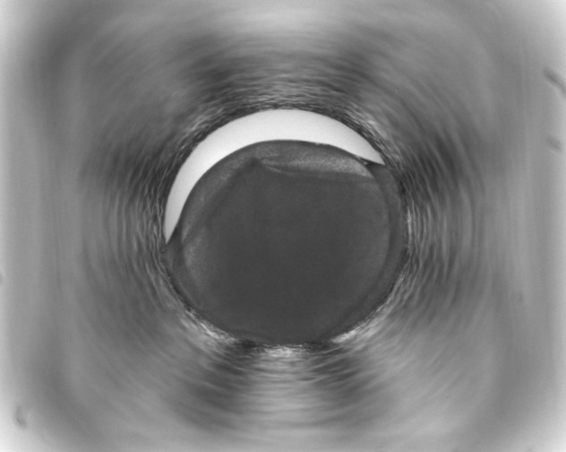 X0000093450237200711021121