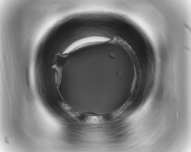 X0000093450239200711021120