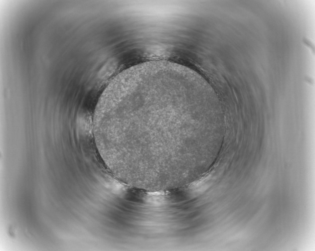 X0000093450240200711021120