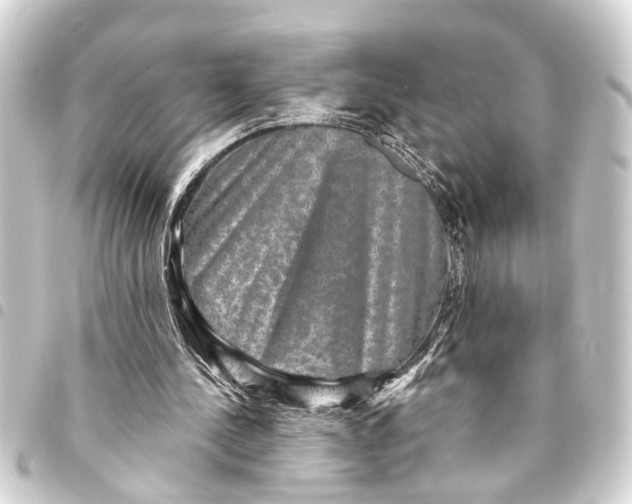 X0000093450244200711021120