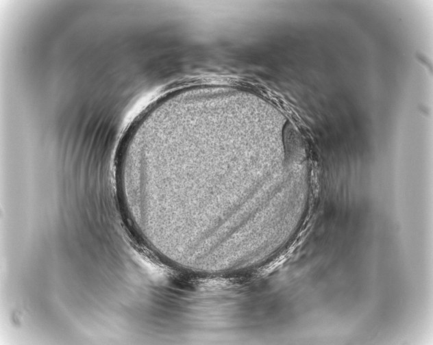 X0000093450246200711021120