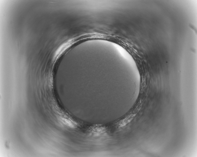 X0000093450247200711021120