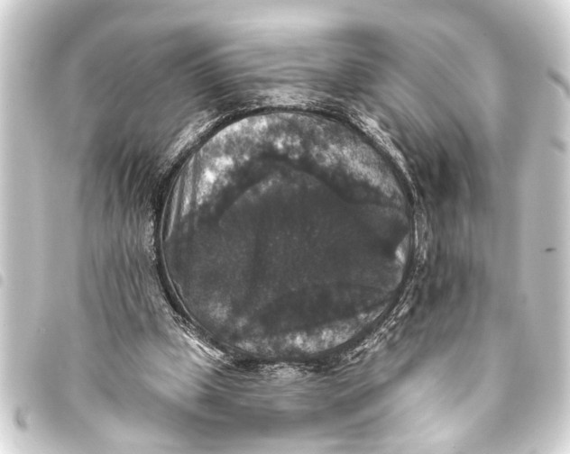 X0000093450249200711021120