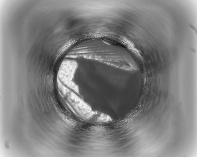 X0000093450250200711021120