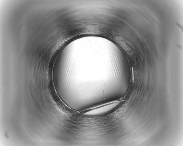 X0000093450252200711021120