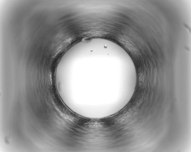 X0000093450254200711021120