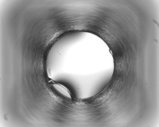 X0000093450256200711021120