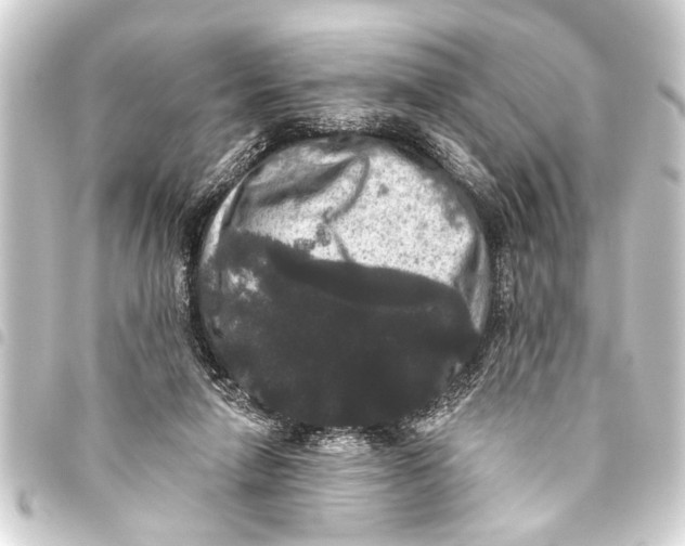 X0000093450258200711021120