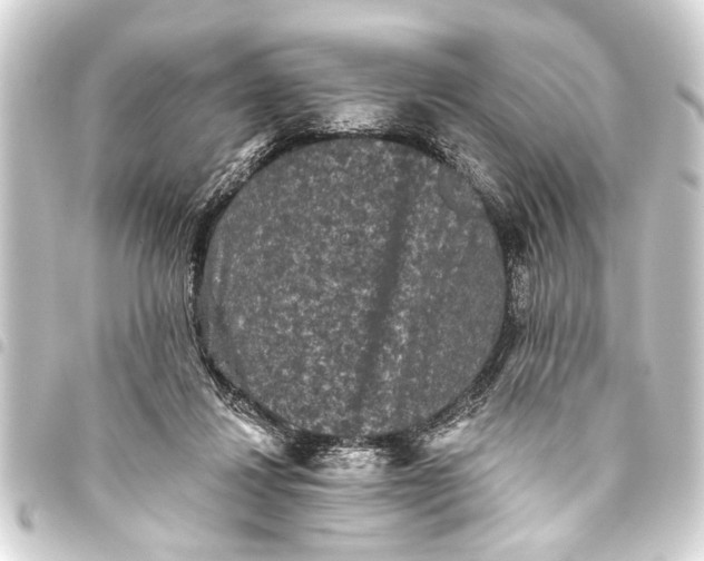 X0000093450260200711021120