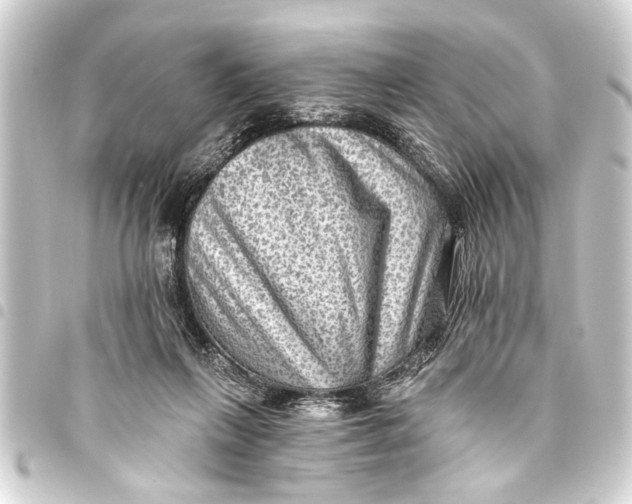 X0000093450263200711021120