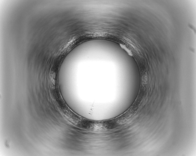 X0000093450264200711021120