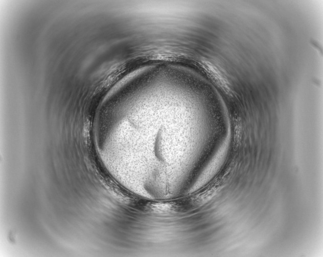 X0000093450265200711021120