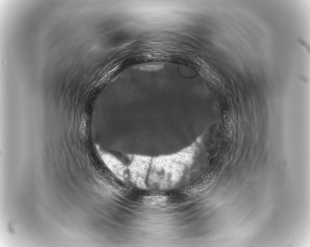 X0000093450266200711021120