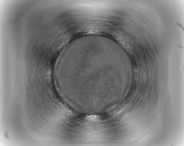 X0000093450269200711021120