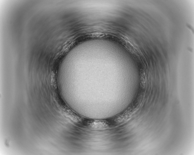 X0000093450270200711021120