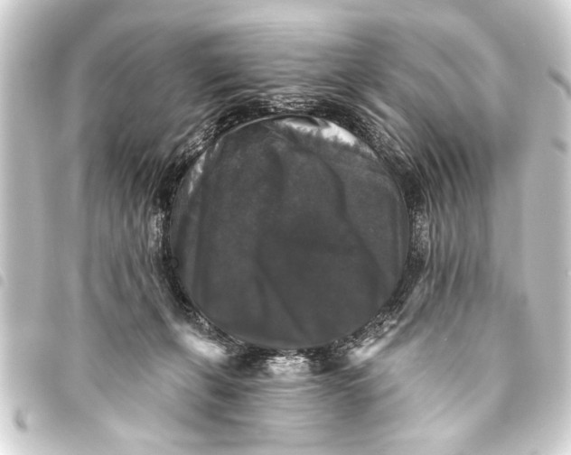 X0000093450271200711021120