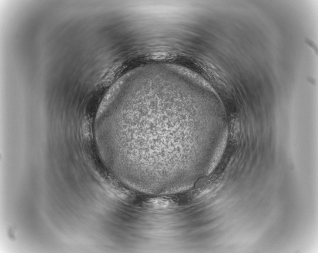 X0000093450272200711021120