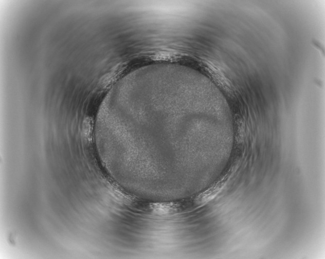 X0000093450273200711021120