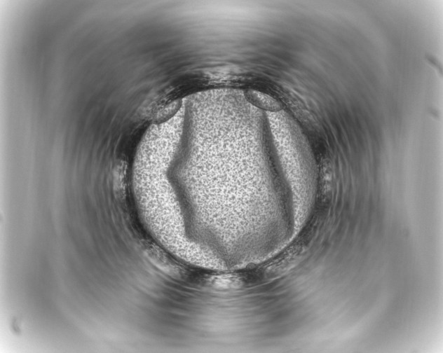 X0000093450275200711021120